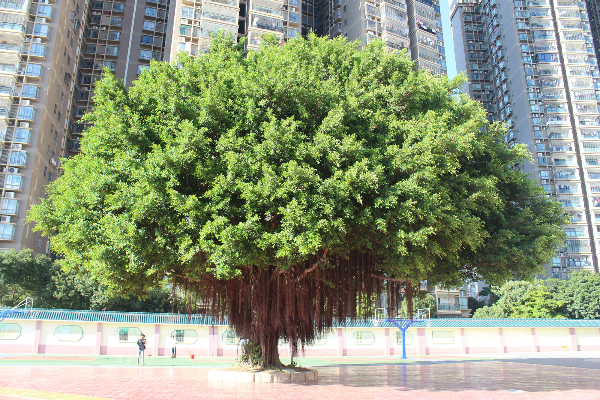 IMG_5801_副本.jpg