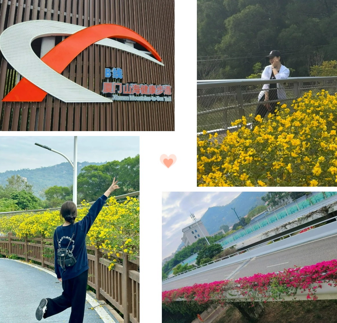 ΢ÐŽØÍ¼_20231211141250.png ΢ÐŽØÍ¼_20231211141250.png