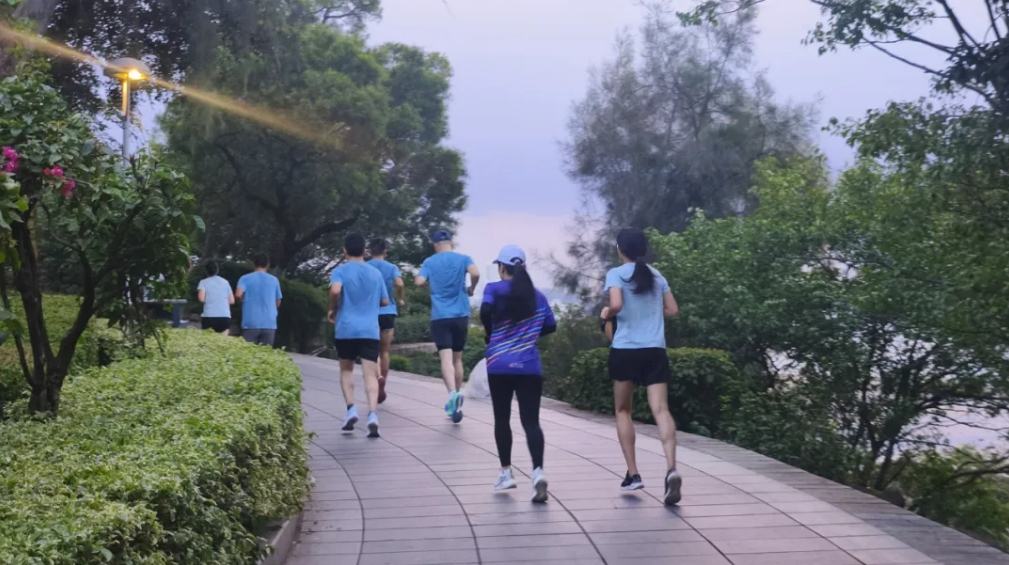 微信截图_20240807095622.png 微信截图_20240807095622.png